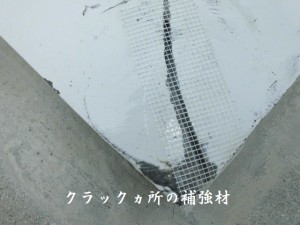 11 (27)