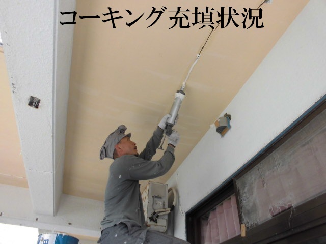 外壁補修・複層塗膜塗装／屋上・ベランダ防水／水道管取替工事