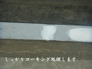 7 (17)